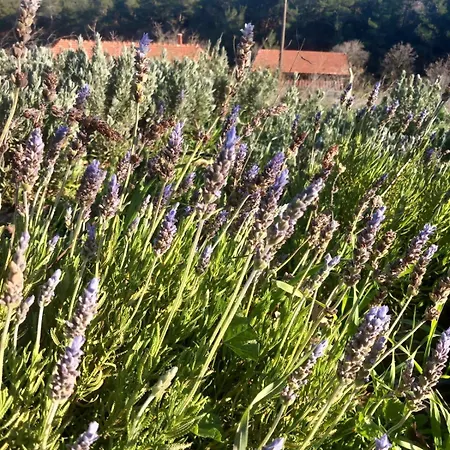 بيت للعطل Marmaric Bayindir