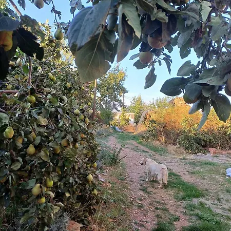 بيت للعطل Marmaric