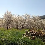 Marmaric Casa vacanze