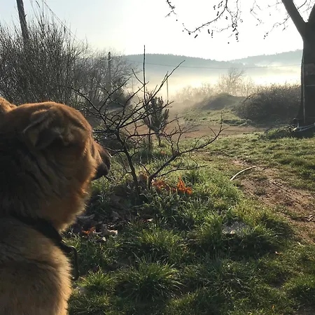 בית נופש Marmaric *