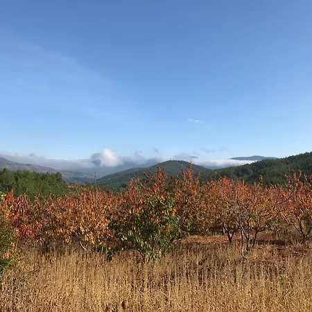 Marmaric בית נופש Bayindir