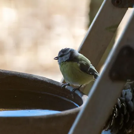 Marmaric 度假居 *