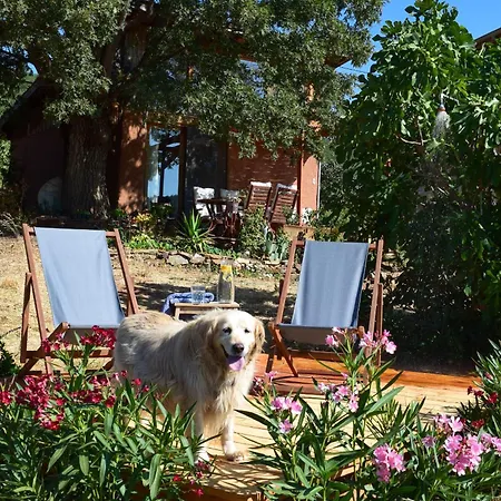 Holiday home Marmaric *