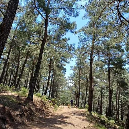 Marmaric 度假居 *