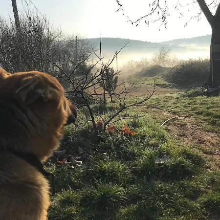 Marmaric 度假居 Bayindir