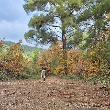 度假居 Marmaric Bayindir