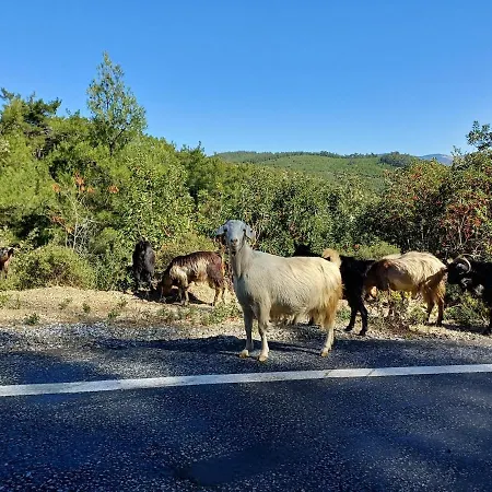 Marmaric 度假居 *