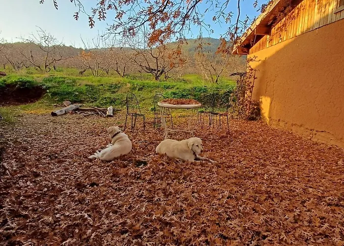 Marmaric * Bayındır