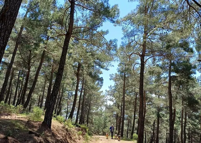 Marmaric Vakantiehuis *