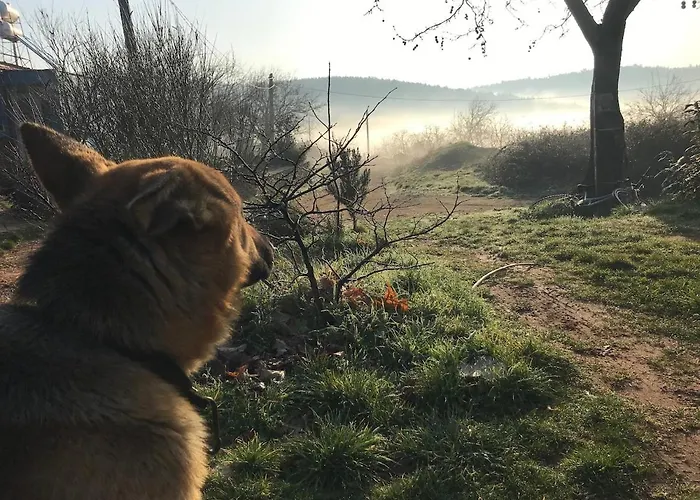 Marmaric Tatil Evi Bayindir (Izmir)