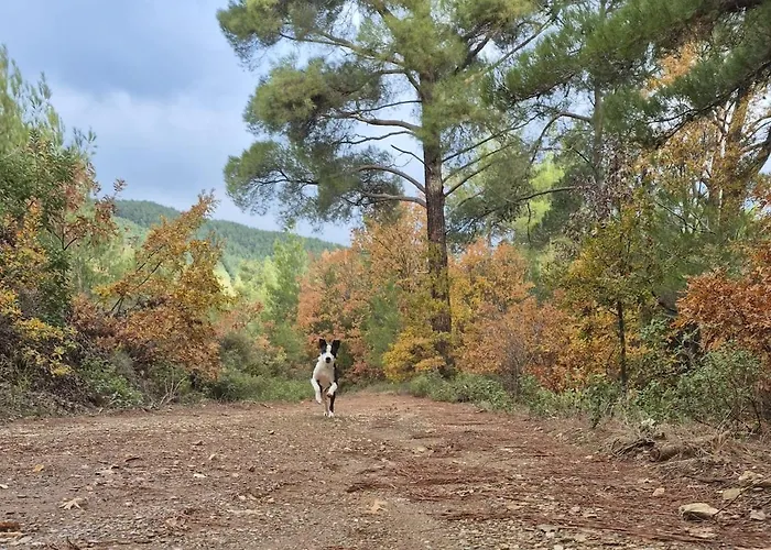 Prázdninový dům Marmaric Bayindir